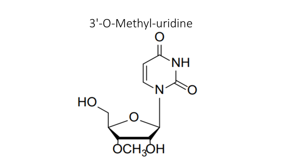 3-o-methyl-uridine