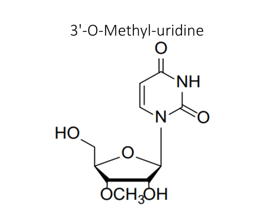 3-o-methyl-uridine