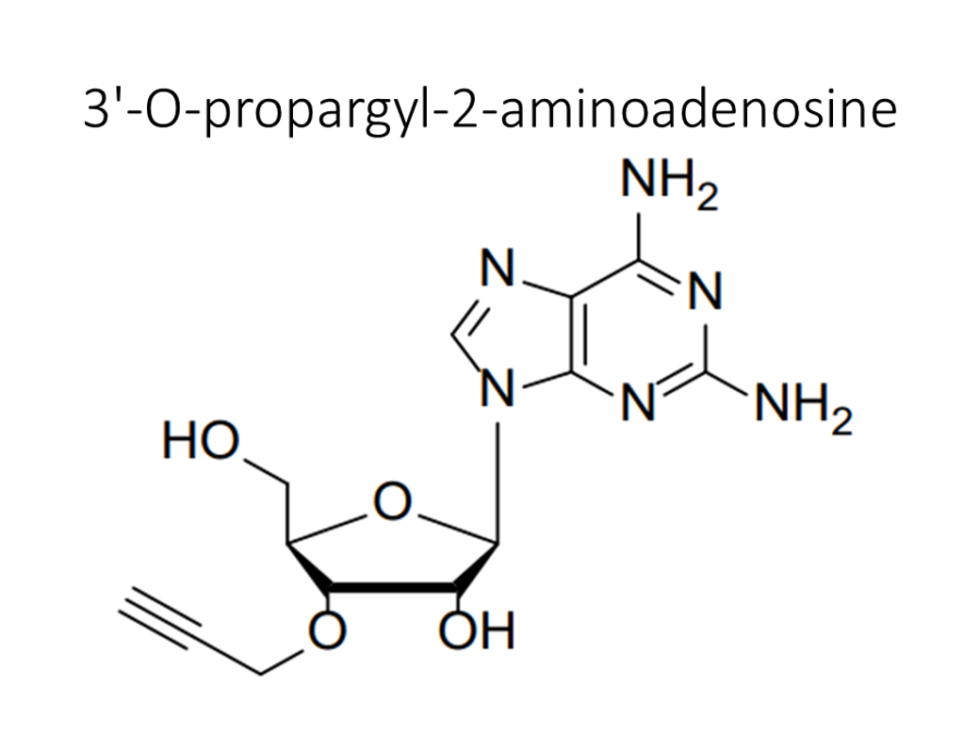 3-o-propargyl-2-aminoadenosine