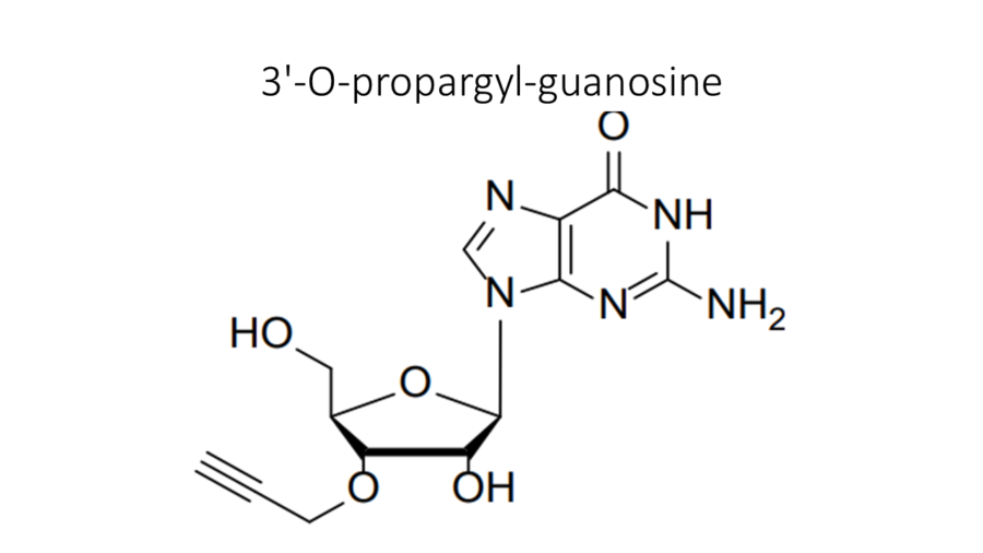 3-o-propargyl-guanosine