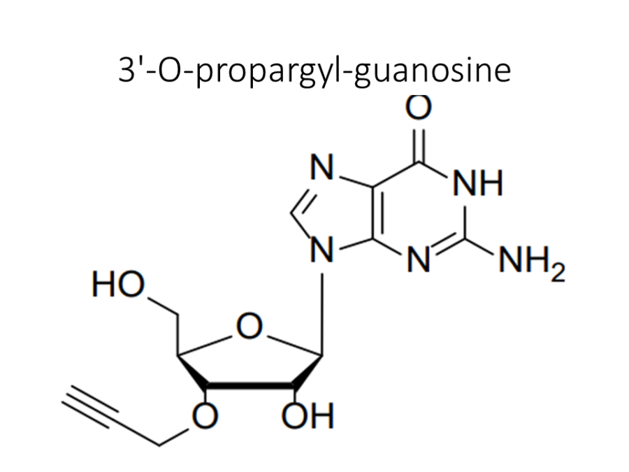 3-o-propargyl-guanosine