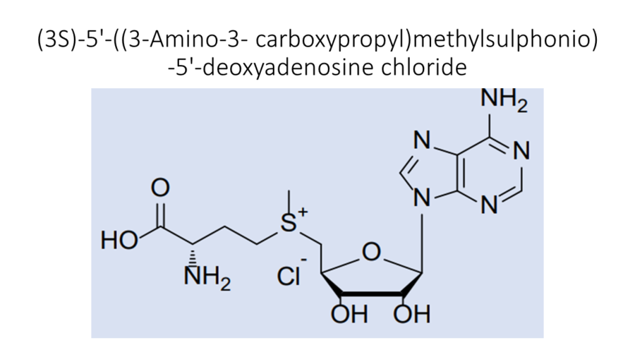 3s-5-3-amino-3-carboxypropylmethylsulphonio-5-deoxyadenosine-chloride