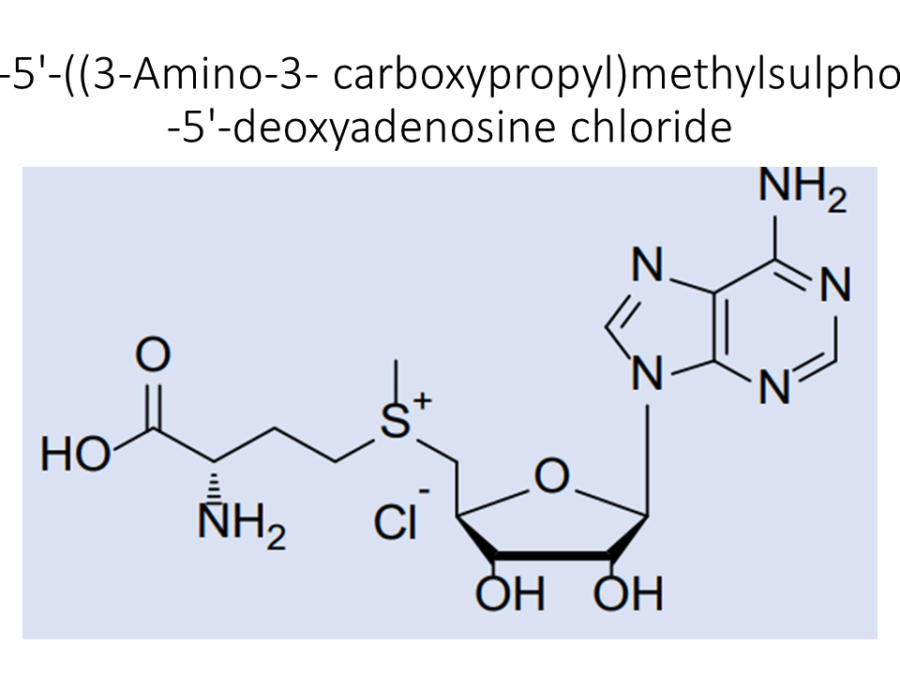 3s-5-3-amino-3-carboxypropylmethylsulphonio-5-deoxyadenosine-chloride