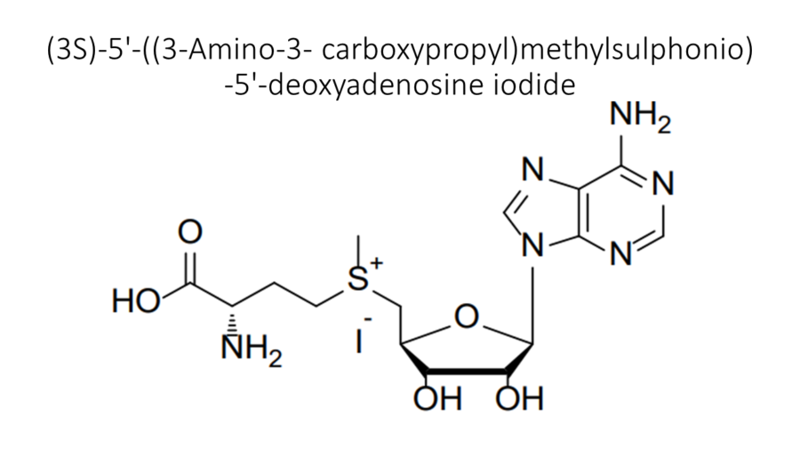 3s-5-3-amino-3-carboxypropylmethylsulphonio-5-deoxyadenosine-iodide