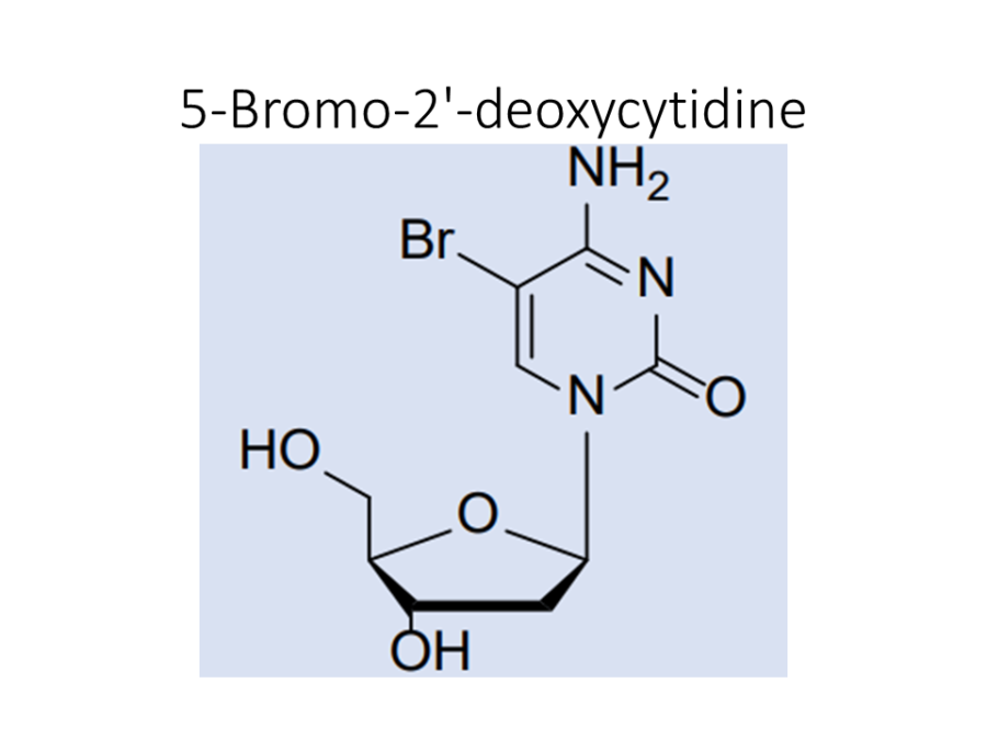 5-bromo-2-deoxycytidine