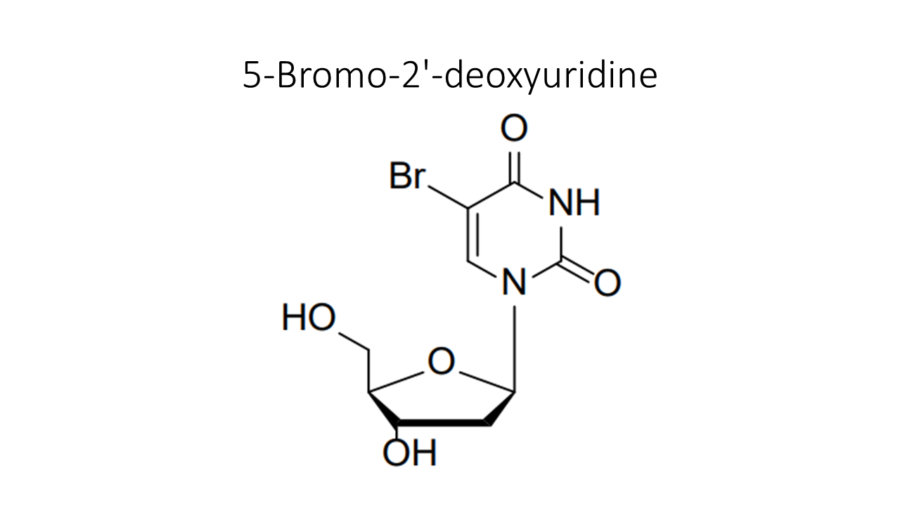 5-bromo-2-deoxyuridine