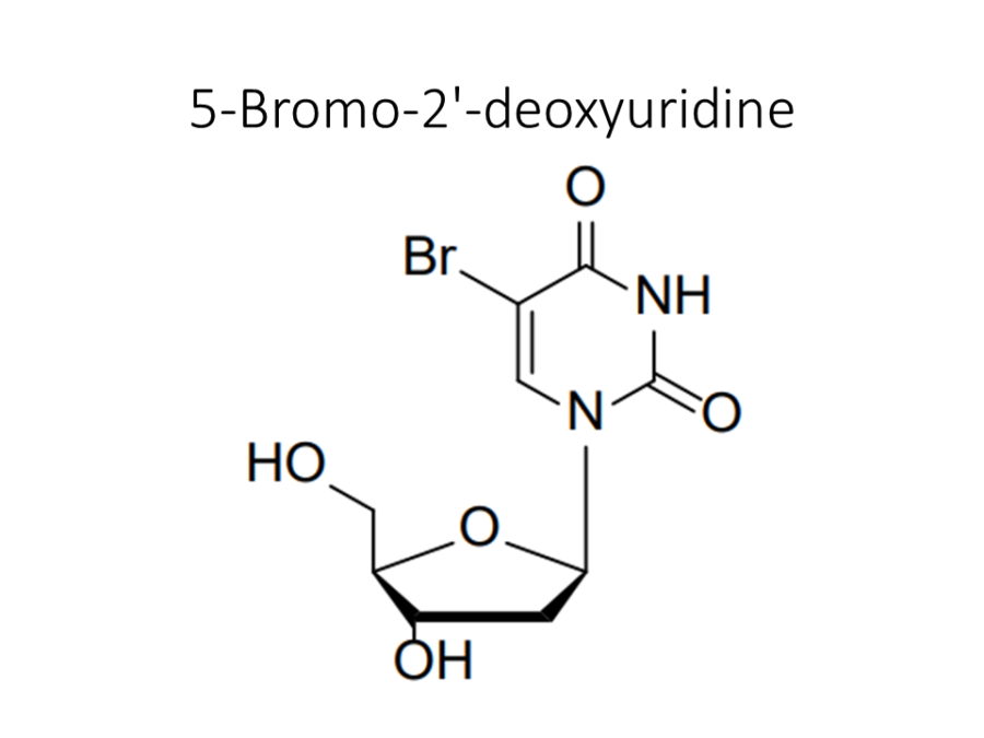 5-bromo-2-deoxyuridine