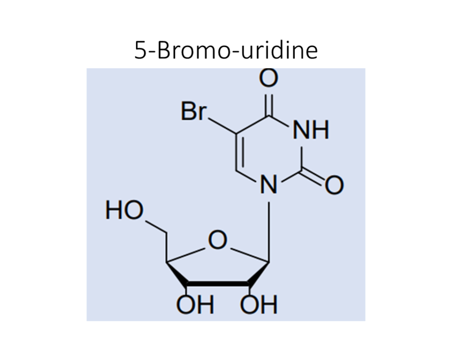 5-bromo-uridine