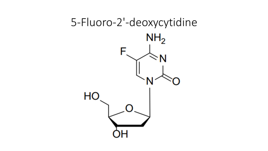 5-fluoro-2-deoxycytidine