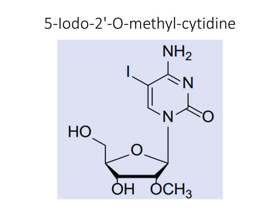 5-iodo-2-o-methyl-cytidine