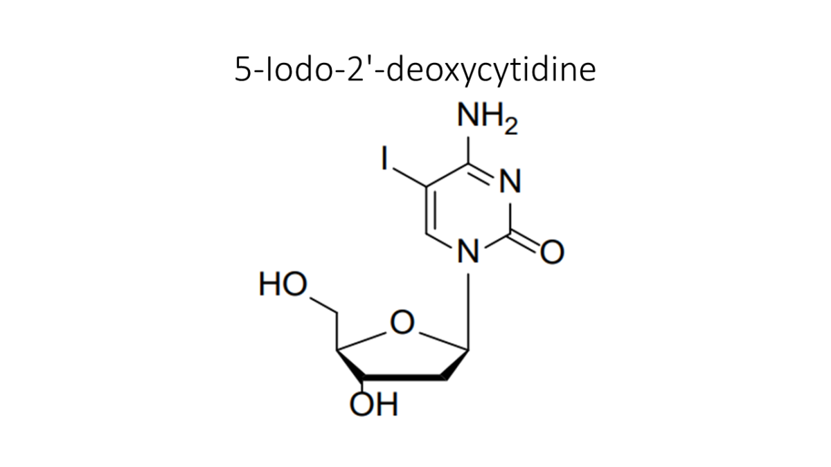 5 йод 2 дезоксиуридин