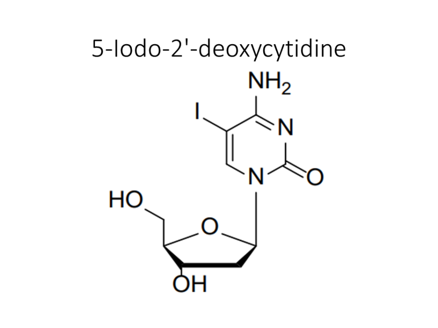 5-iodo-2-deoxycytidine