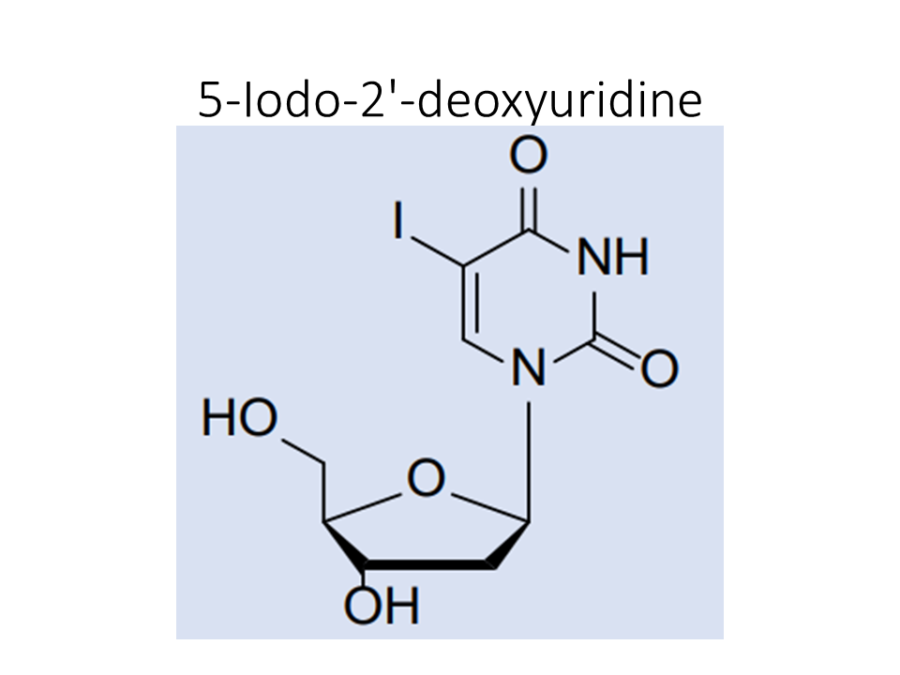 5-iodo-2-deoxyuridine