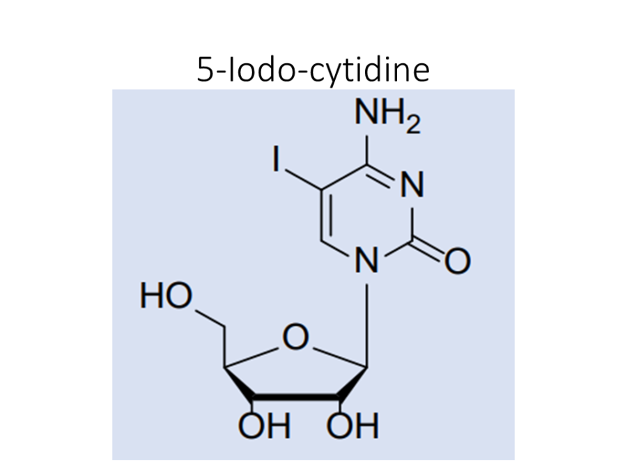 5-iodo-cytidine