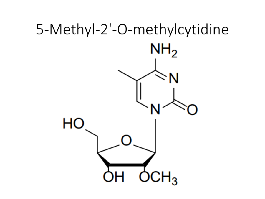 5-methyl-2-o-methylcytidine