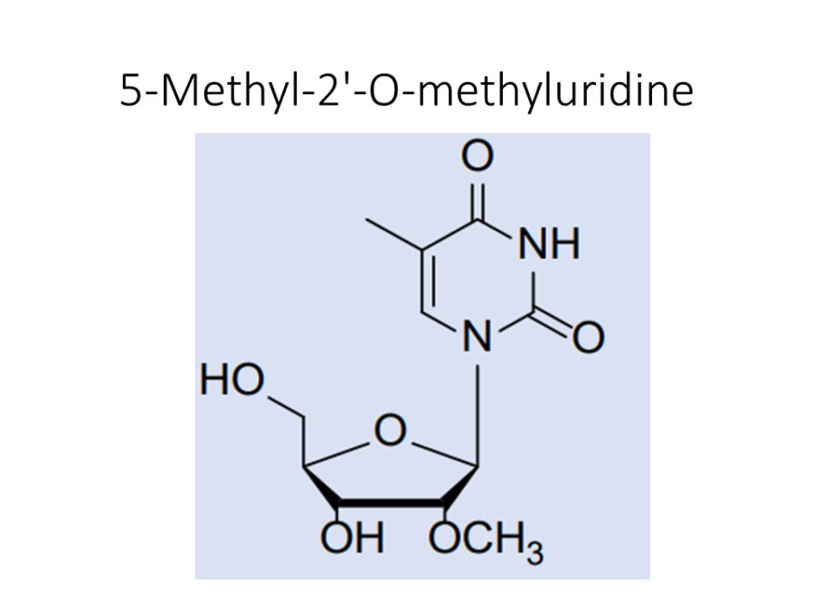 5-methyl-2-o-methyluridine