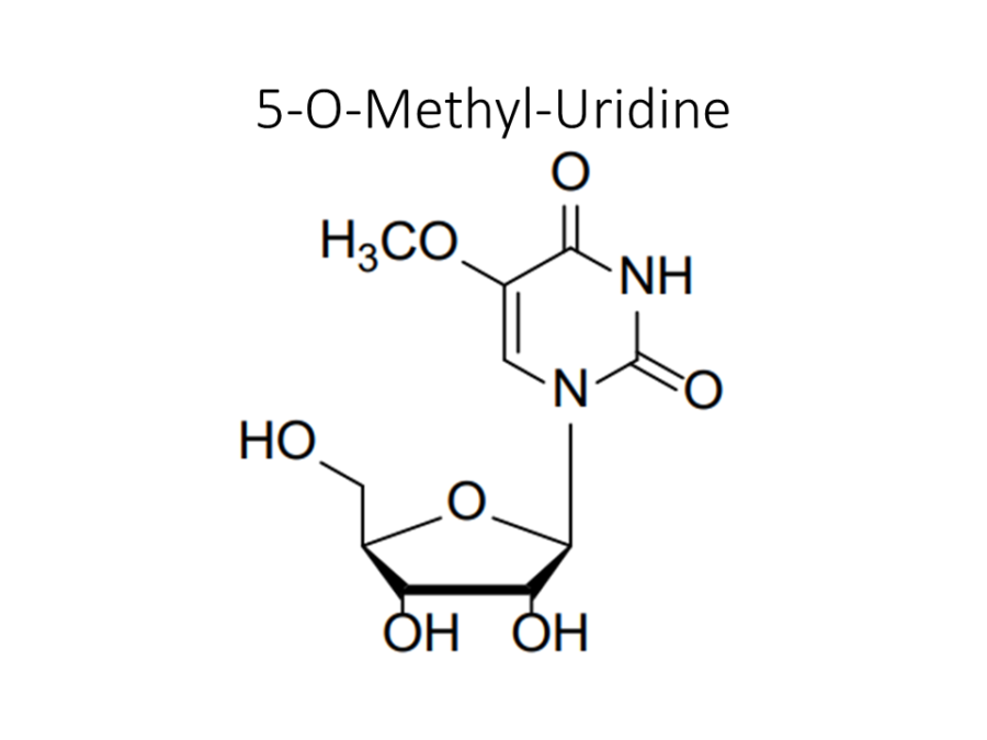 5-o-methyl-uridine