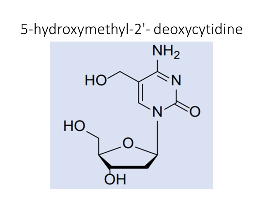 5-hydroxymethyl-2-deoxycytidine