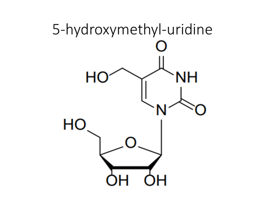 5-hydroxymethyl-uridine