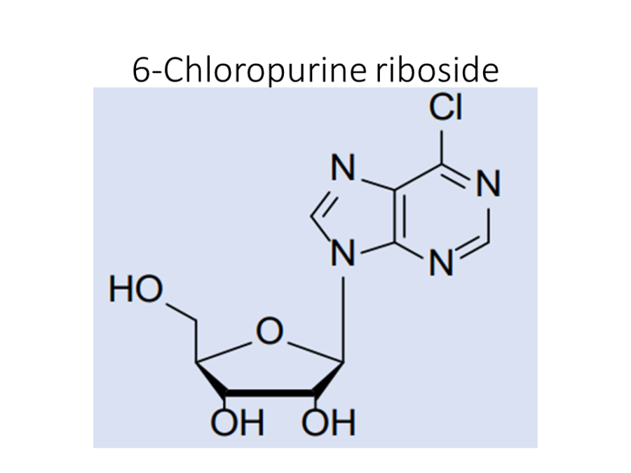 6-chloropurine-riboside