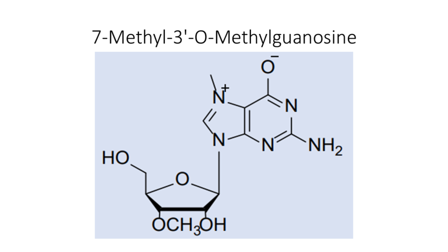 7-methyl-3-o-methylguanosine