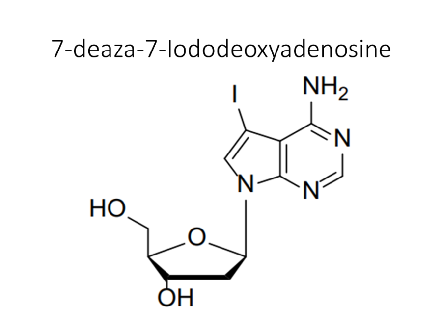 7-deaza-7-iododeoxyadenosine
