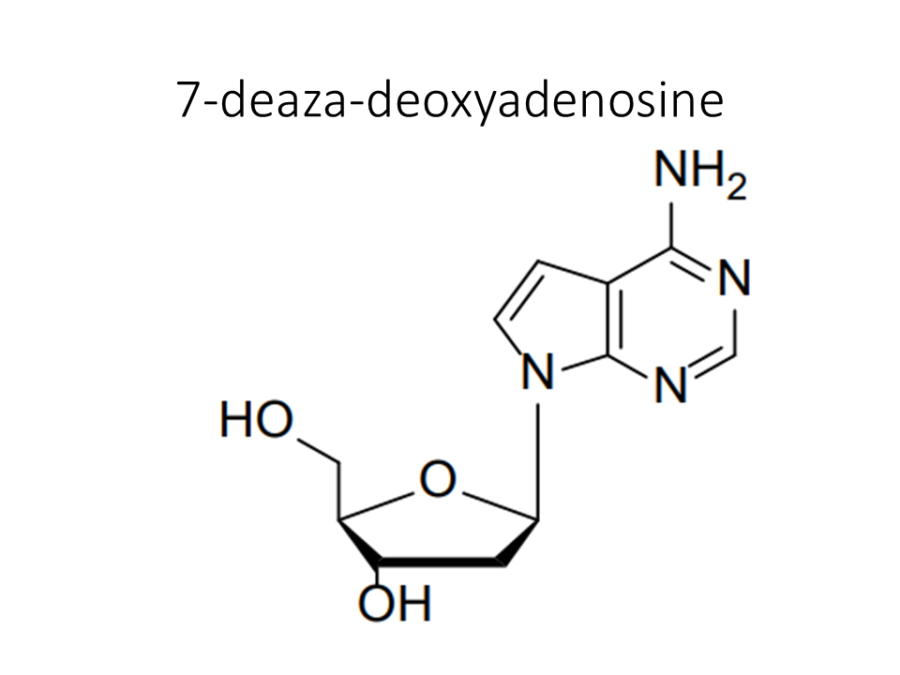 7-deaza-deoxyadenosine