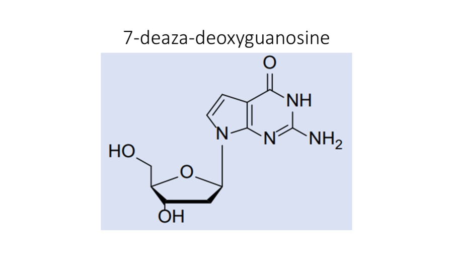 7-deaza-deoxyguanosine