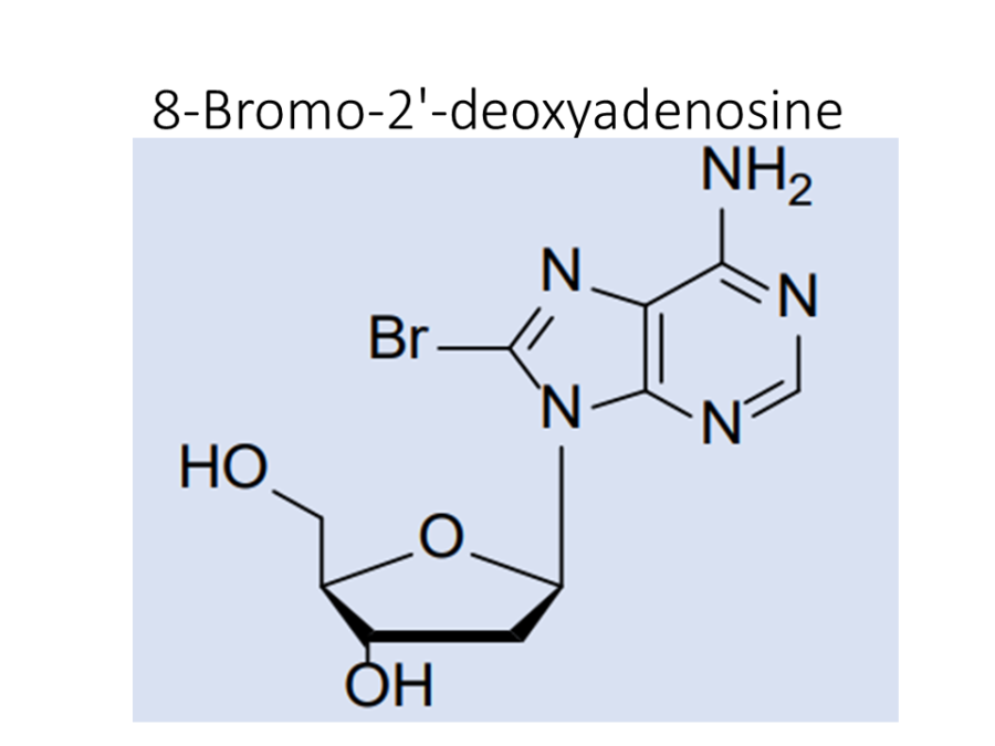 8-bromo-2-deoxyadenosine