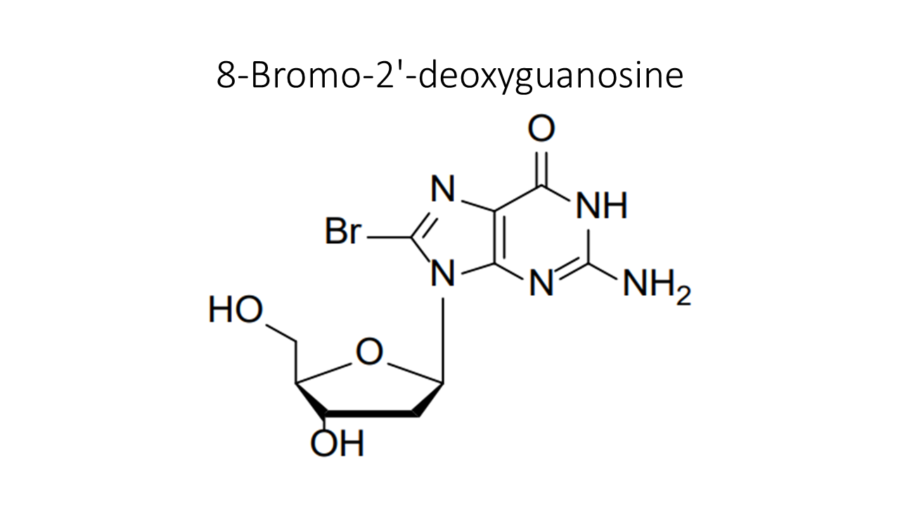 8-bromo-2-deoxyguanosine