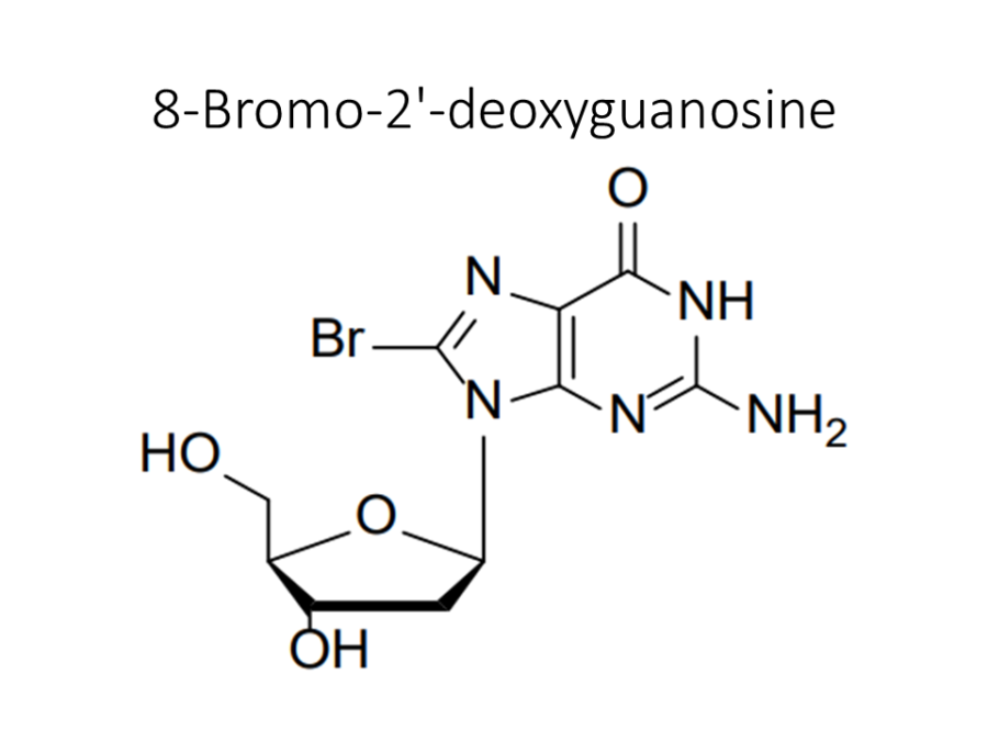 8-bromo-2-deoxyguanosine