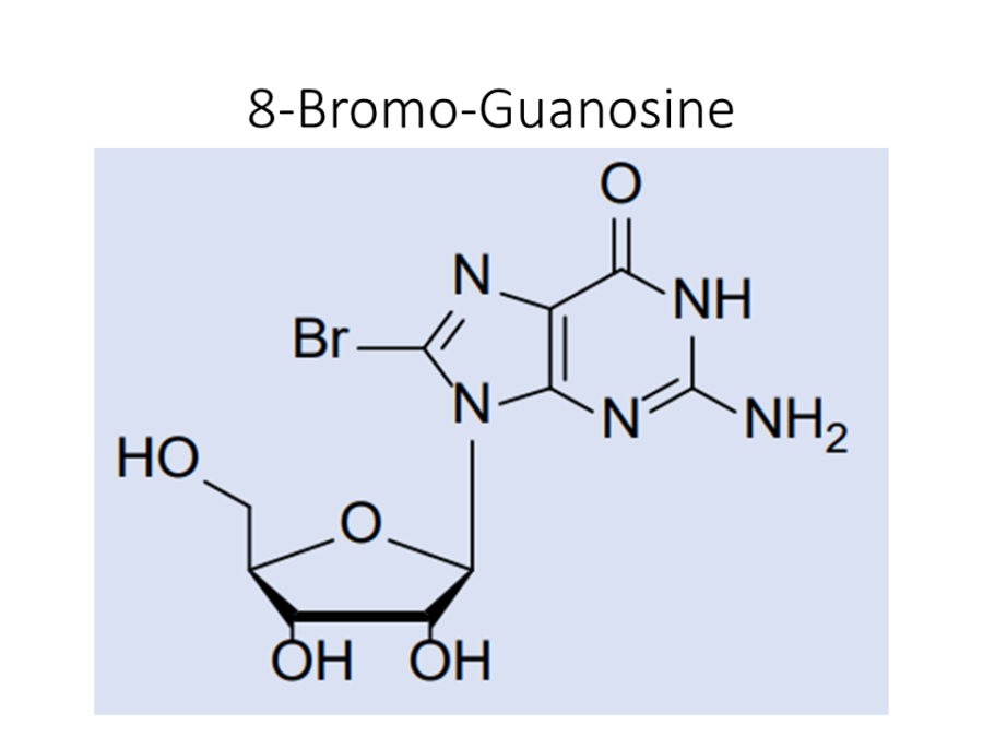 8-bromo-guanosine