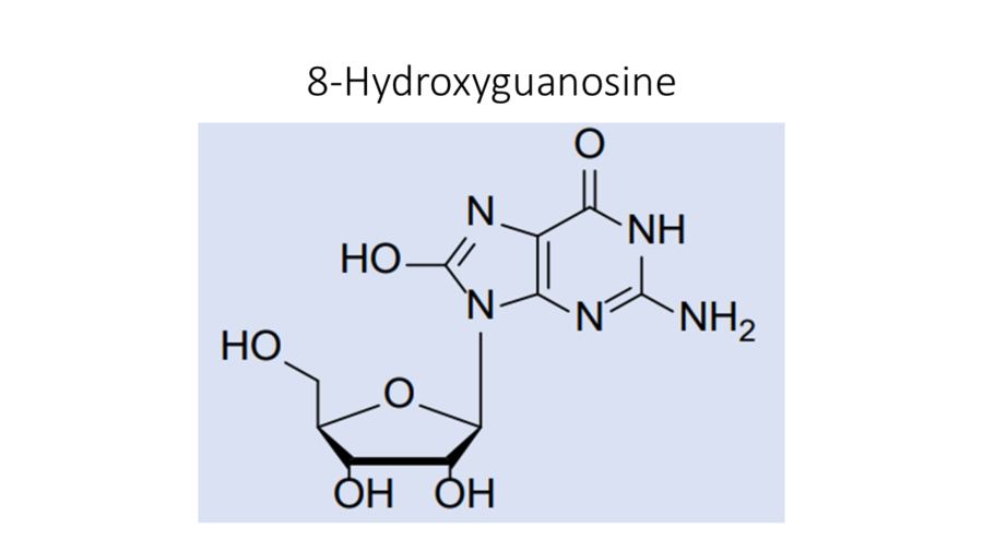 8-hydroxyguanosine