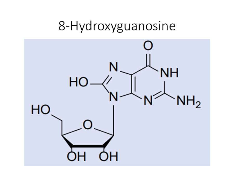 8-hydroxyguanosine