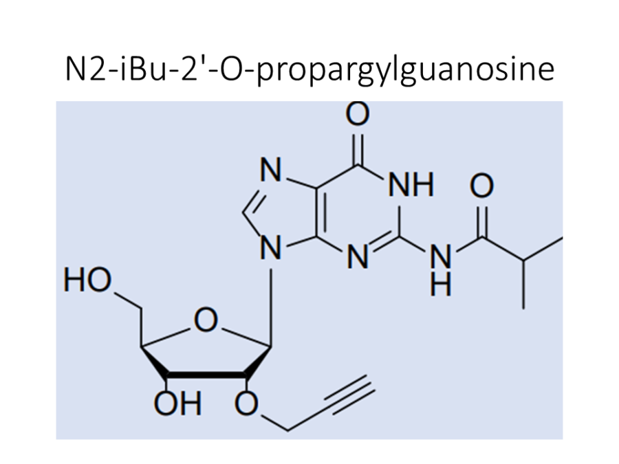 n2-ibu-2-o-propargylguanosine