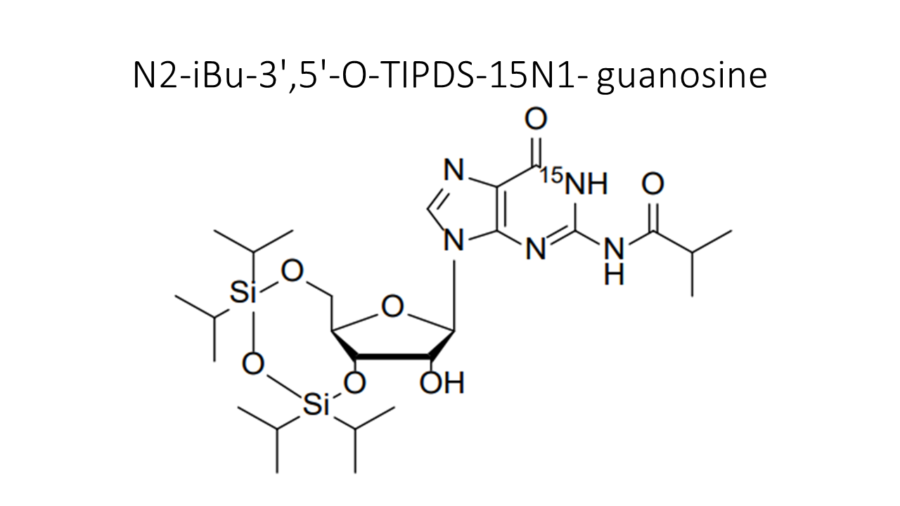 n2-ibu-35-o-tipds-15n1-guanosine