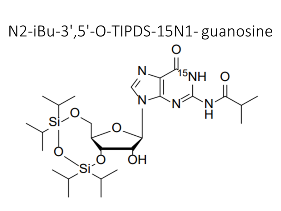 n2-ibu-35-o-tipds-15n1-guanosine