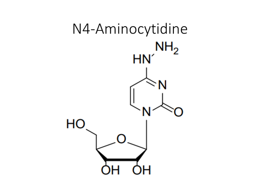 n4-aminocytidine