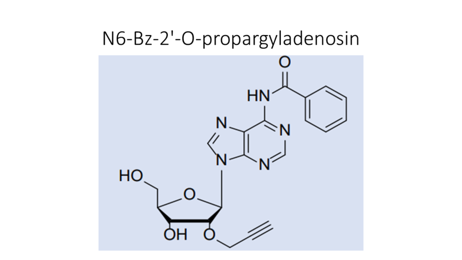 n6-bz-2-o-propargyladenosin