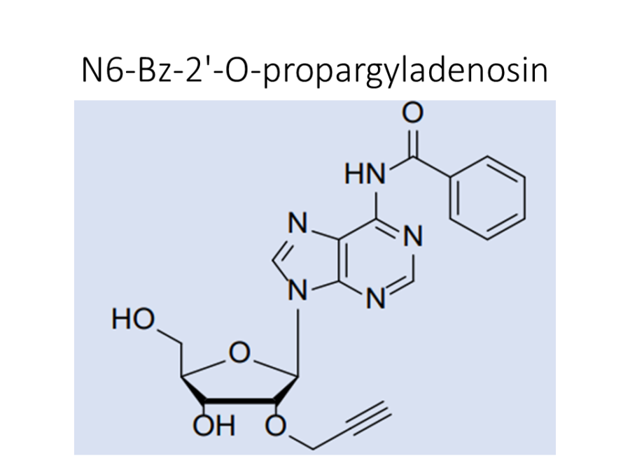 n6-bz-2-o-propargyladenosin
