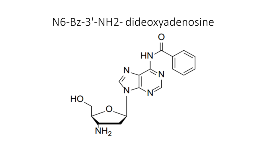 n6-bz-3-nh2-dideoxyadenosine