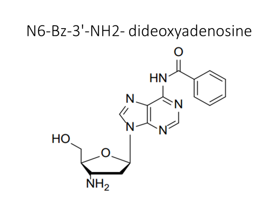 n6-bz-3-nh2-dideoxyadenosine