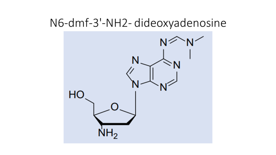 n6-dmf-3-nh2-dideoxyadenosine