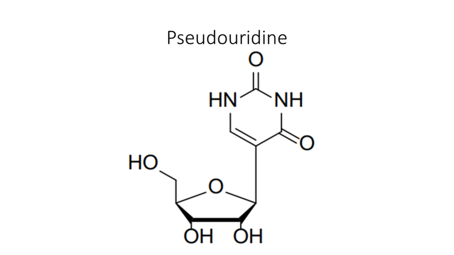 pseudouridine