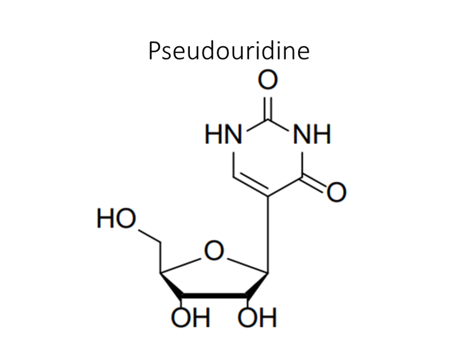 pseudouridine