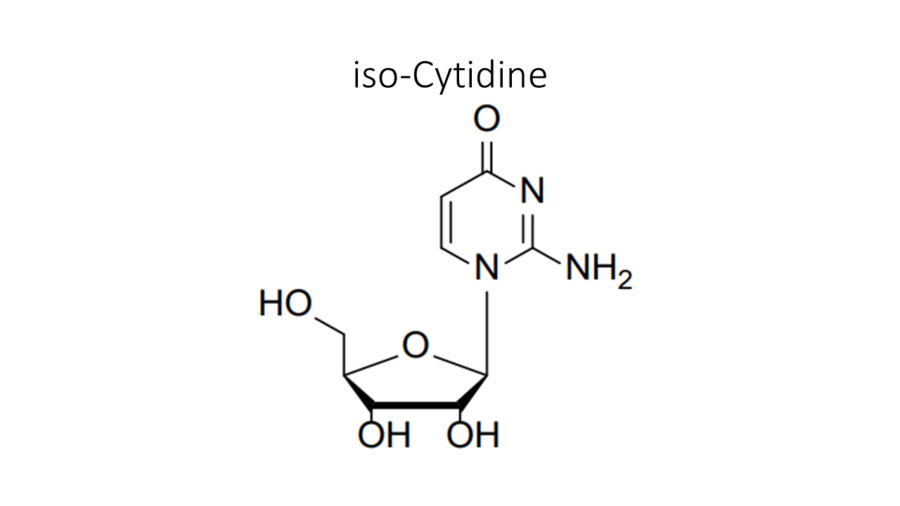 iso-cytidine