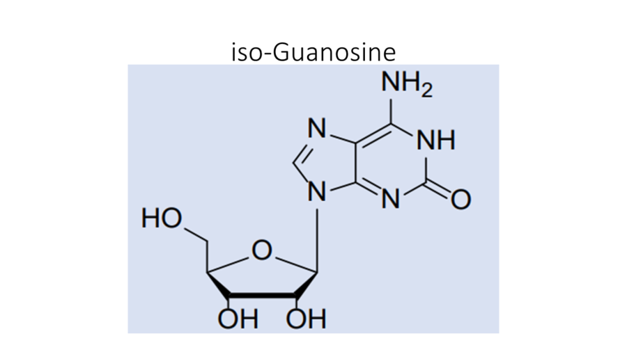 iso-guanosine