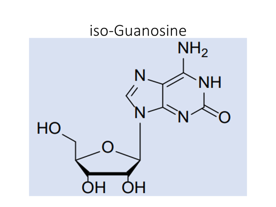 iso-guanosine