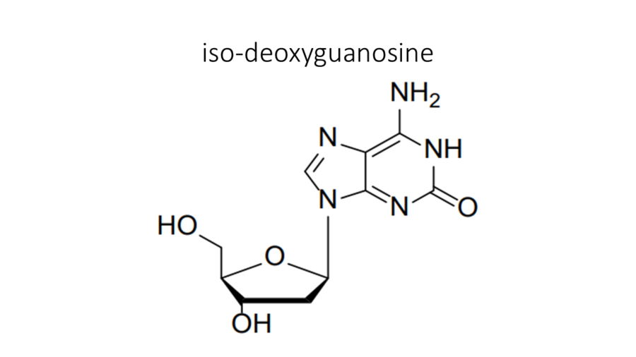iso-deoxyguanosine