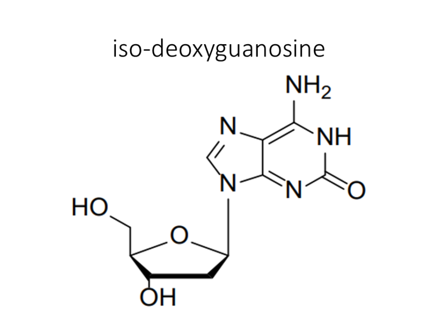 iso-deoxyguanosine